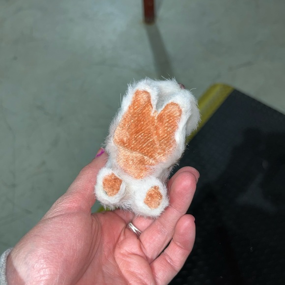 CAT DECOR - Picture 2 of 4